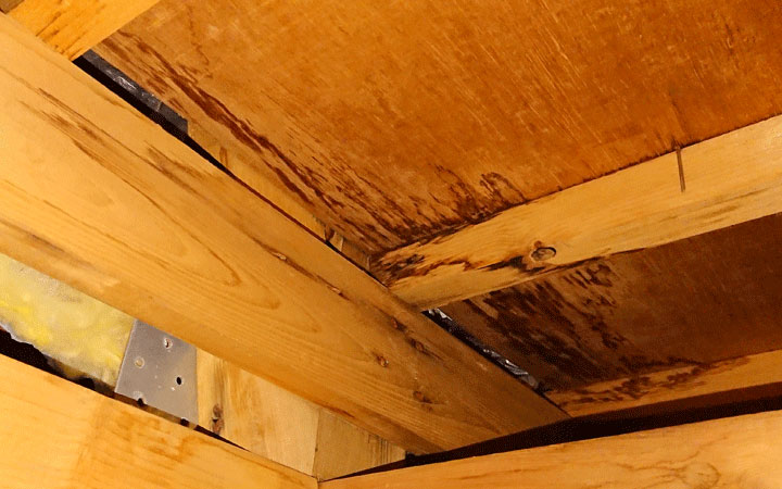 小屋裏の雨漏り跡