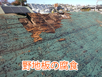 野地板の腐食