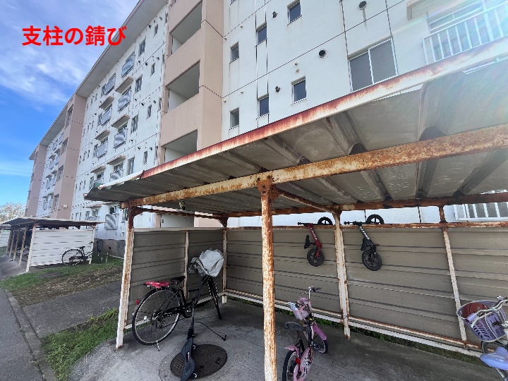 現地調査