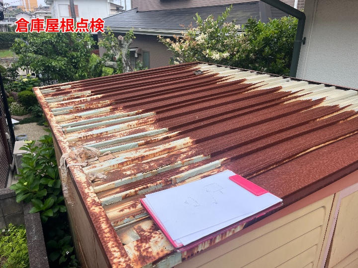 現地調査