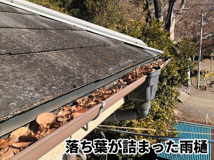 落ち葉の詰まり