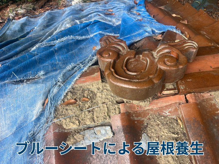 レジャーシートによる屋根養生