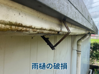 雨樋の破損