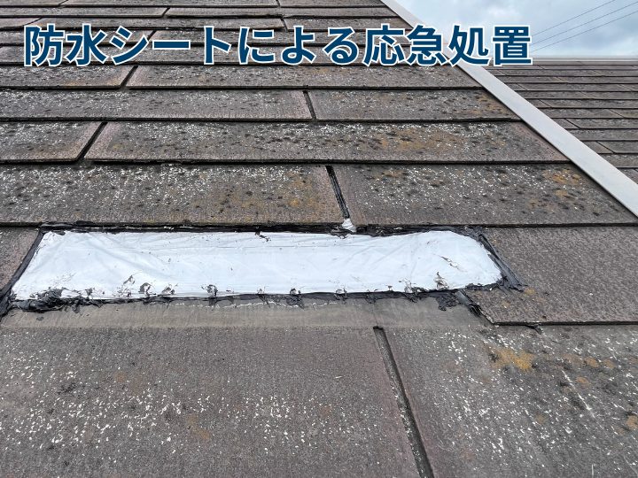 防水シートによる応急処置