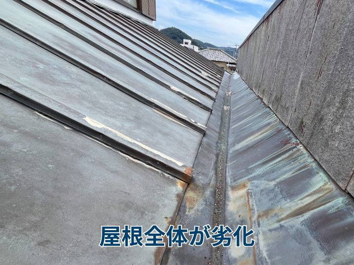 屋根全体が劣化