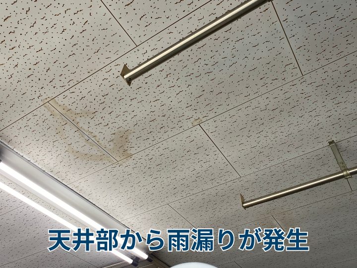 天井部から雨漏りが発生