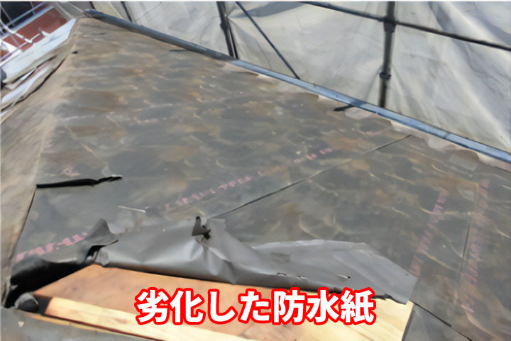 劣化した防水紙