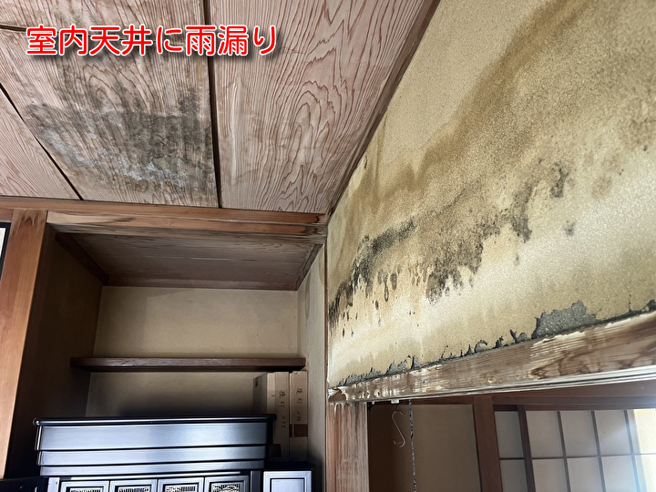 雨漏り
