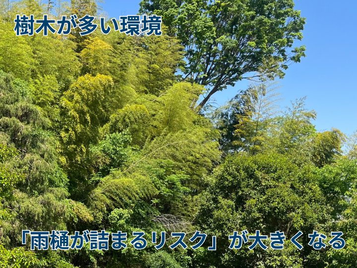 樹木が多い環境は雨樋が詰まるリスクが大きくなる