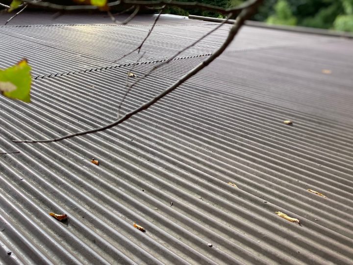 雨漏りが発生している波板トタン屋根