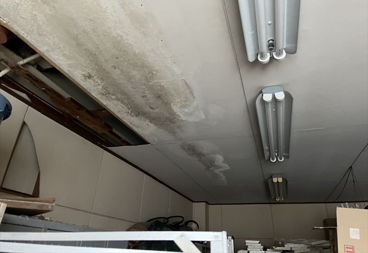 雨漏りによってカビの生えた天井クロス