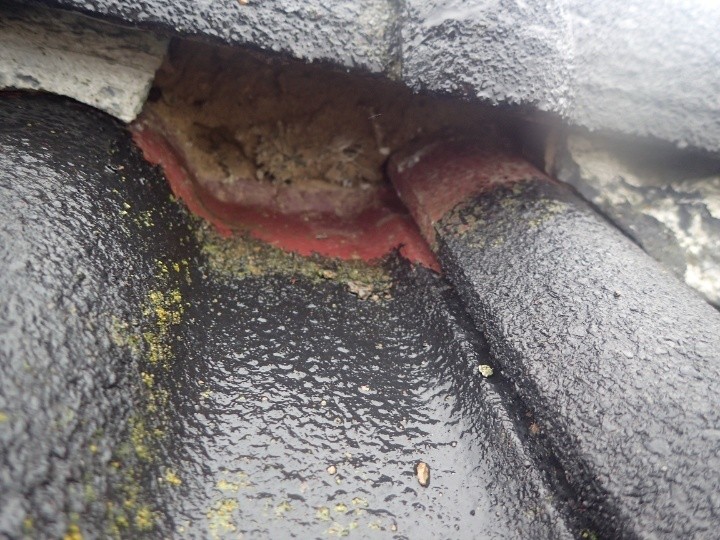 棟下地の劣化状態を点検