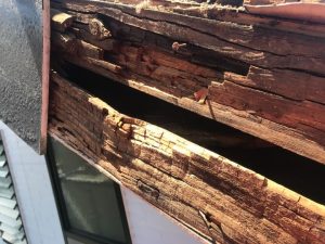 劣化した木材