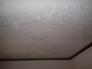 室内でカビが発生