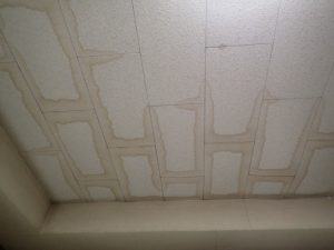 天井に雨染みを確認