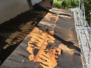 既存の板金を撤去