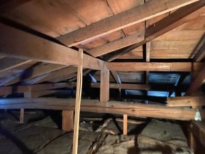 小屋裏の状態を点検