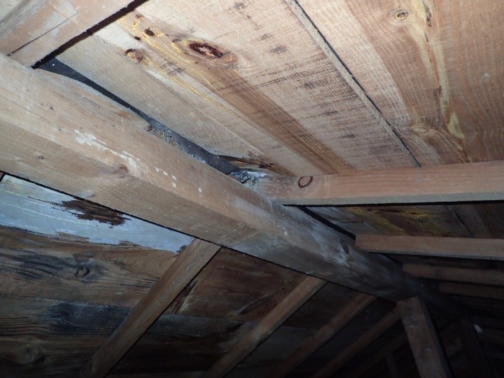 雨漏りの痕跡やカビが繁殖している内部