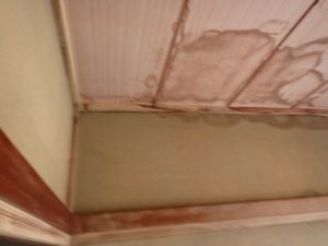 天井の雨染み