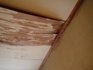 天井材が垂れ下がっている状態