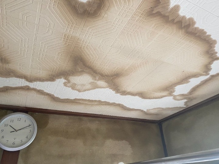 天井の雨漏り箇所