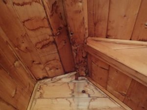 雨染みの目立つ天井