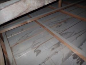 小屋裏に雨水が浸入した跡が複数発生