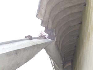 破損した屋根の部位