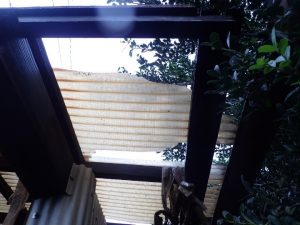 瓦の飛散により破損したポリカ屋根の状態