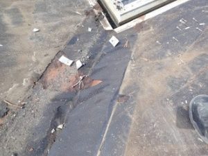 野地板が湿っている状態