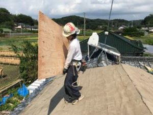 野地ベニヤの設置作業