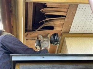 既存の軒天化粧ベニヤを補修