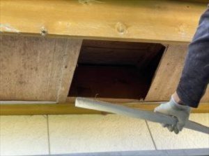軒天化粧ベニヤを取り外す作業