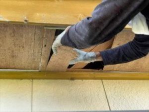 既存の軒天化粧ベニヤを一度取り外し