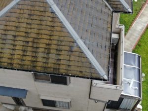 苔等による劣化が進行した屋根
