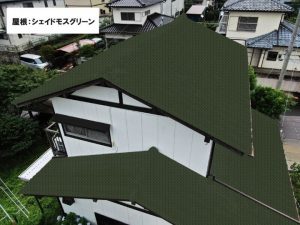 シェイドモスグリーン