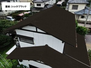 シェイドブラック