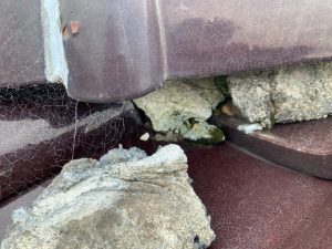 漆喰の一部に軽微な傷み