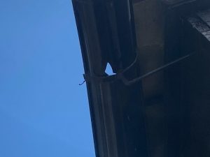 穴あきが確認できる雨樋の状態