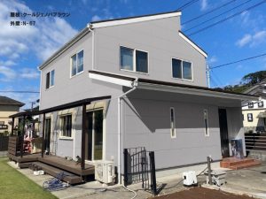 カラーシミュレーション（N-67）