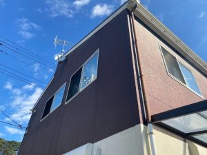 苔が目立つ外壁の状態