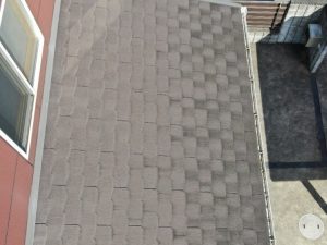 苔が目立つ屋根の状態