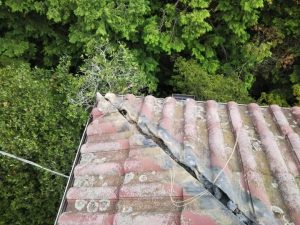 既存の棟瓦を撤去