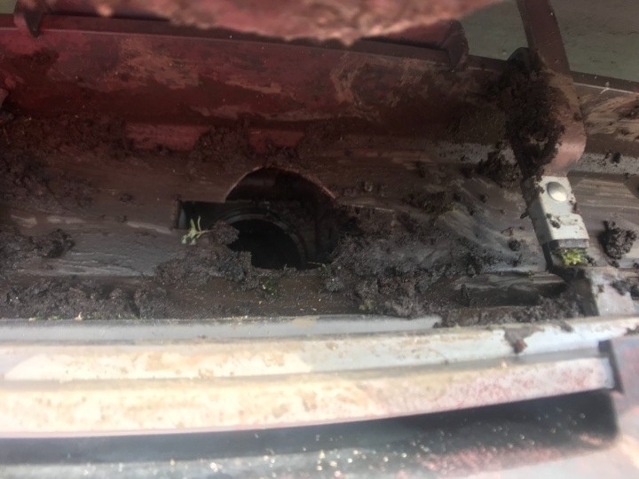 雨樋の清掃工事後の状態