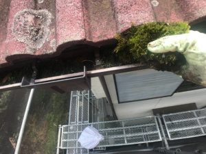 雨樋の清掃工事