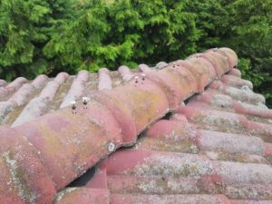 タフモック（樹脂製貫板）をビスで固定した後の棟瓦