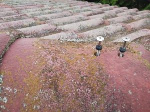 タフモック（樹脂製貫板）をビスで固定