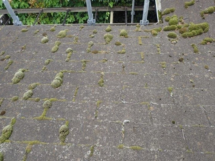 コケが発生した屋根