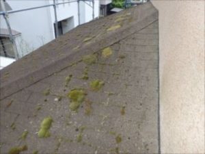 コケが発生した屋根の状態