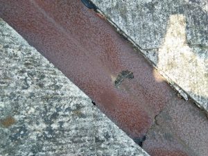 錆の進行により鋼板自体が脆くなりひび割れ生じている